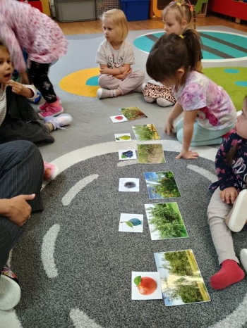 IMG_20250930_100134213_HDR (Copy)