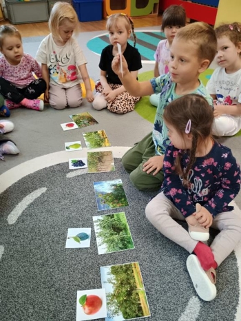 IMG_20250930_100309757_HDR (Copy)