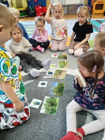 IMG_20250930_100356709_HDR (Copy)