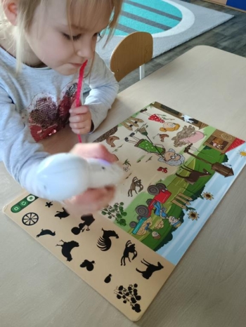 IMG_20251003_080941580_HDR (Copy)