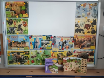 IMG_20251003_104224330 (Copy)