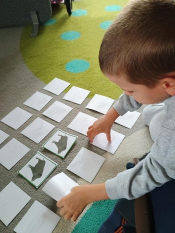 IMG_20251006_093204797 (Copy)