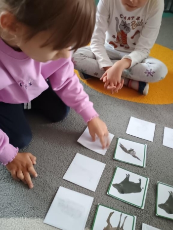 IMG_20251006_093232316 (Copy)