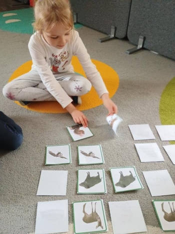 IMG_20251006_093251263 (Copy)