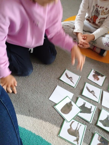 IMG_20251006_093452385 (Copy)