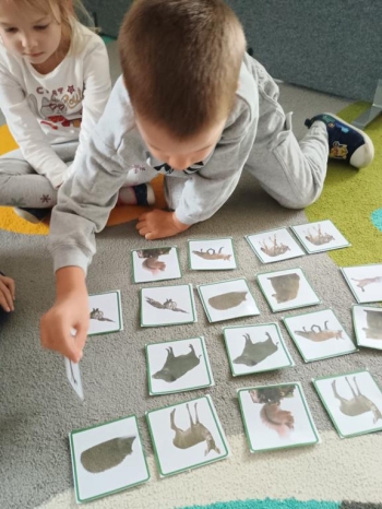 IMG_20251006_093548817 (Copy)