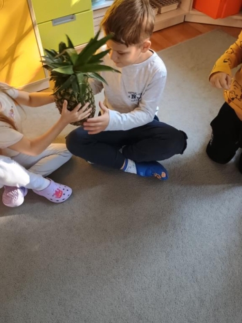 IMG_20251002_100610356_HDR (Copy)