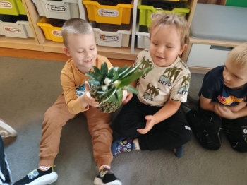 IMG_20251002_100625943 (Copy)