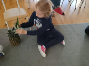 IMG_20251002_100650433_HDR (Copy)