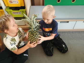 IMG_20251002_100638219 (Copy)