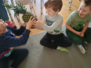 IMG_20251002_100659974_HDR (Copy)