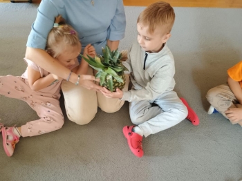 IMG_20251002_100712175 (Copy)