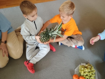 IMG_20251002_100714536 (Copy)