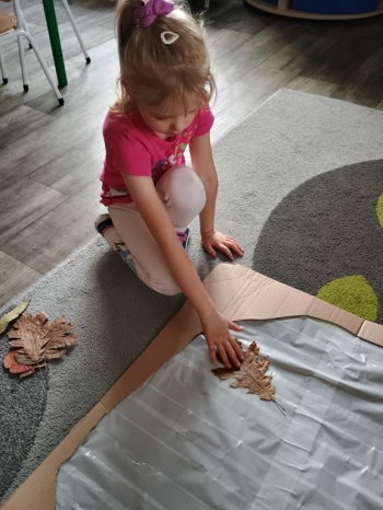 IMG_20251010_144205259_HDR (Copy)