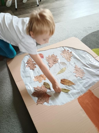 IMG_20251010_144352250 (Copy)