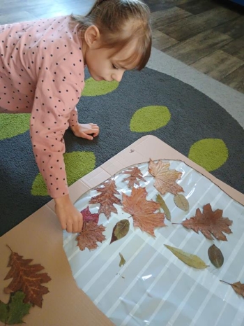 IMG_20251013_102146697 (Copy)