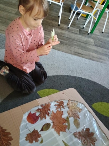 IMG_20251013_102200679_HDR (Copy)