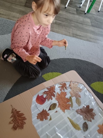 IMG_20251013_102219534 (Copy)