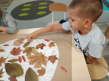 IMG_20251014_080932725 (Copy)