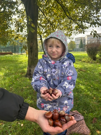 motion_photo_2320870437238393532