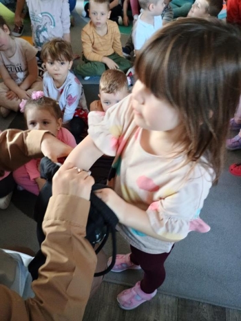 IMG_20251013_105612333_HDR (Copy)