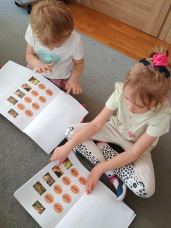 IMG_20251013_115033311 (Copy)