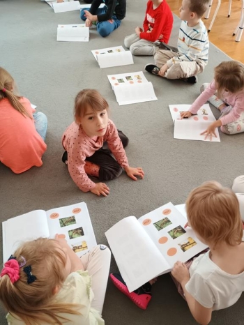 IMG_20251013_115132092 (Copy)