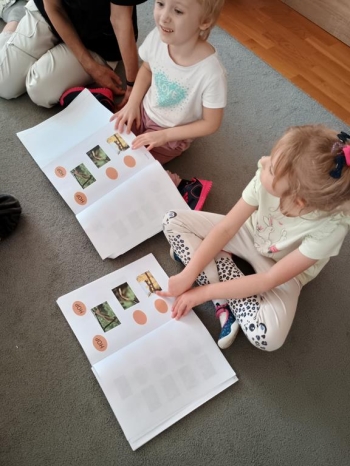 IMG_20251013_115230530_HDR (Copy)