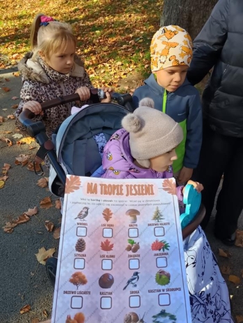 IMG_20251020_111201617_HDR (Copy)