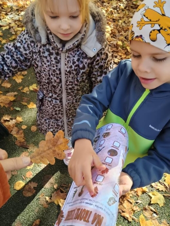 IMG_20251020_111444280_HDR (Copy)