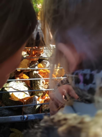 IMG_20251020_111746715_HDR (Copy)