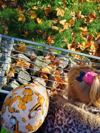 IMG_20251020_111750146_HDR (Copy)