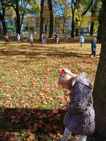 IMG_20251020_112113290_HDR (Copy)