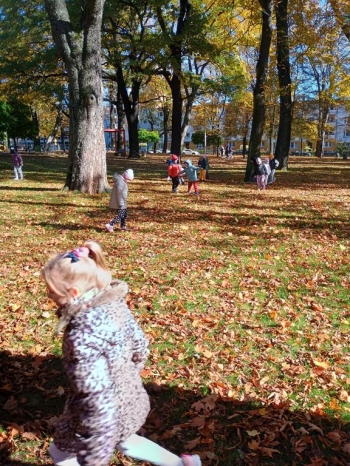 IMG_20251020_112116347_HDR (Copy)