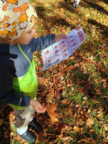 IMG_20251020_112235006_HDR (Copy)