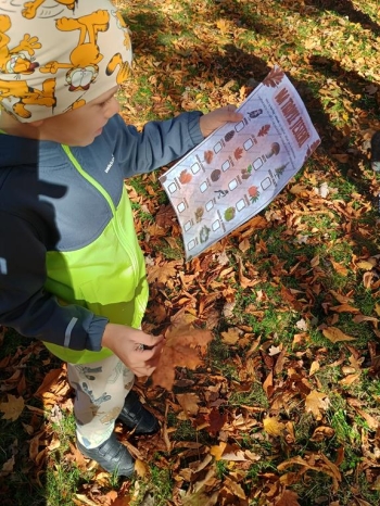 IMG_20251020_112236572_HDR (Copy)