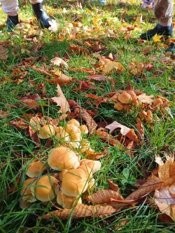 IMG_20251020_112329442_HDR (Copy)