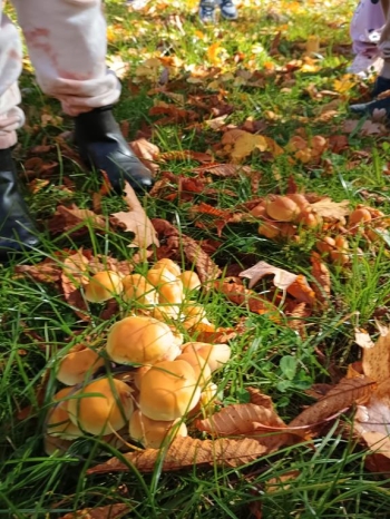 IMG_20251020_112332255_HDR (Copy)