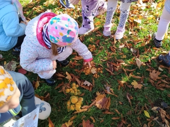 IMG_20251020_112341193_HDR (Copy)