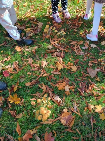 IMG_20251020_112359928_HDR (Copy)