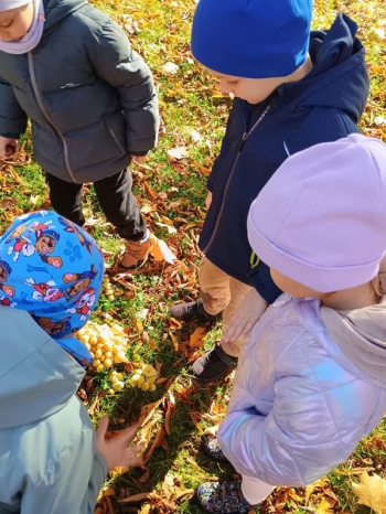 IMG_20251020_112412088_HDR (Copy)