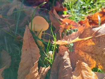 IMG_20251020_112432839_HDR (Copy)