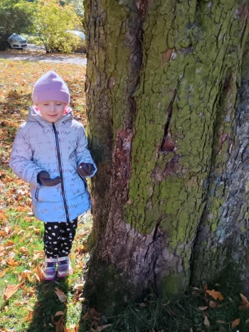 IMG_20251020_112721227_HDR (Copy)