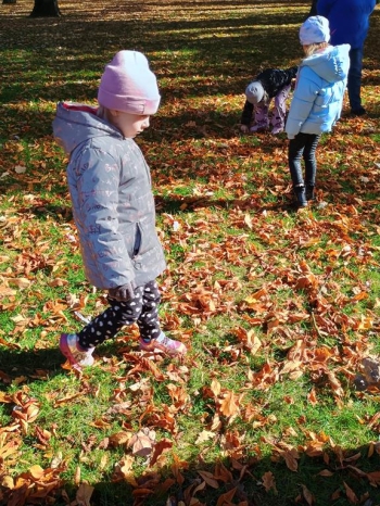 IMG_20251020_112713391_HDR (Copy)