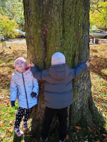 IMG_20251020_112726572_HDR (Copy)