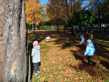 IMG_20251020_112741145_HDR (Copy)