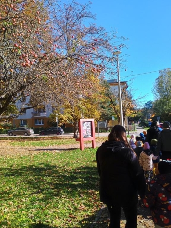 IMG_20251020_113338041_HDR (Copy)