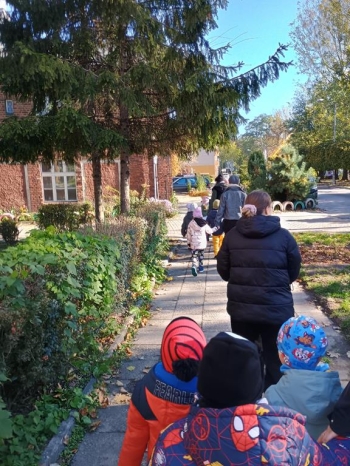 IMG_20251020_113515312_HDR (Copy)