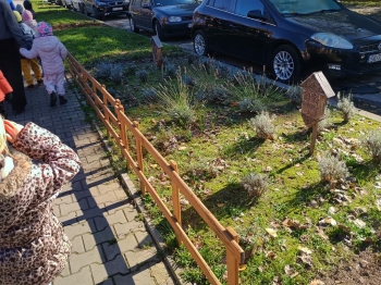 IMG_20251020_113721977_HDR (Copy)