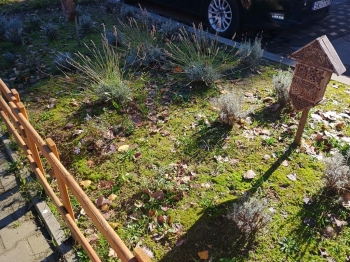 IMG_20251020_113725505_HDR (Copy)